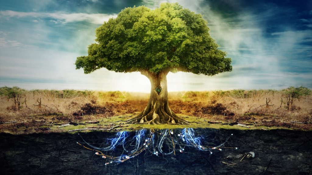 el Árbol de la Vida como el kabala